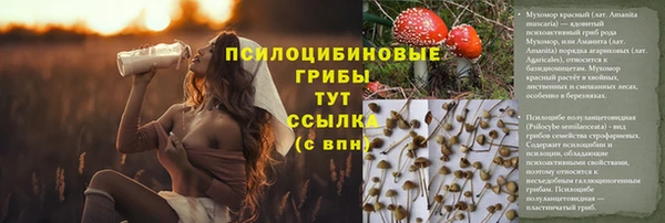 кокаин премиум Гусев