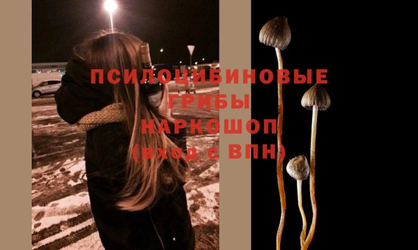 мескалин Гусиноозёрск