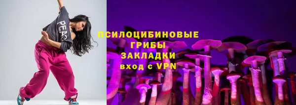 прущие крисы Гусь-Хрустальный