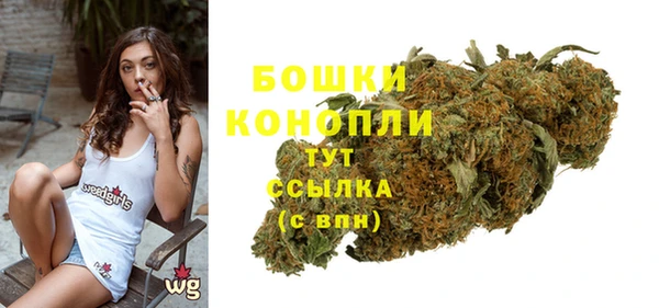 эйфоретик Михайлов